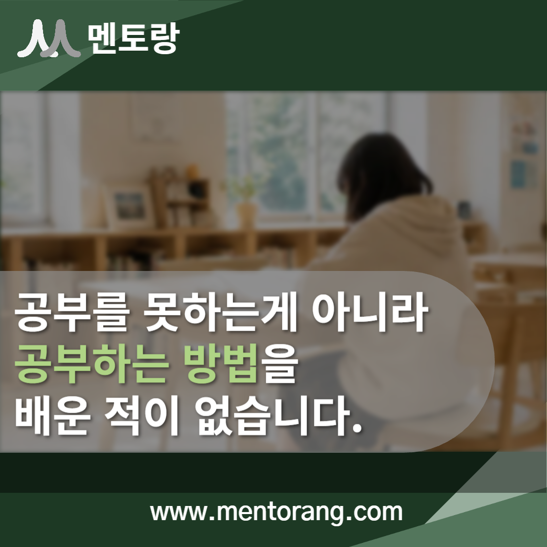 공부를 못하는 게 아니라, 공부하는 법을 배운 적이 없습니다 이미지 1